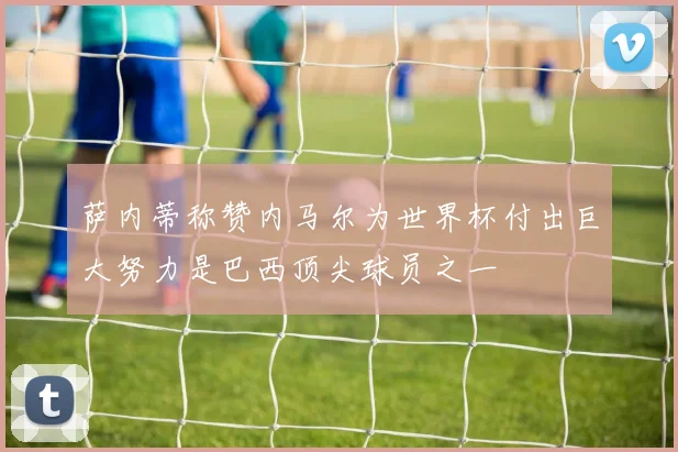 萨内蒂称赞内马尔为世界杯付出巨大努力是巴西顶尖球员之一