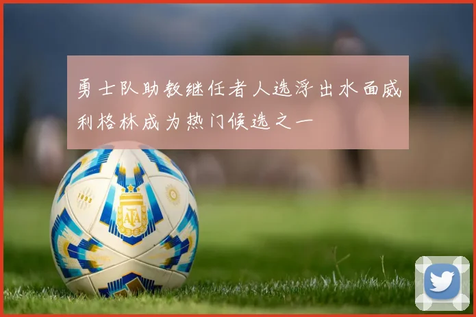 勇士队助教继任者人选浮出水面威利格林成为热门候选之一
